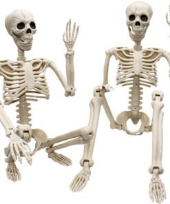 2 Pack 36"Halloween Skeleton - 3 ft Life Size Human Skeleton with Full Body Posable Joints Plastic Skeleton for Halloween Skeletons Decor Yard Patio Lawn Garden Skeleton Props Spooky Party Decoration